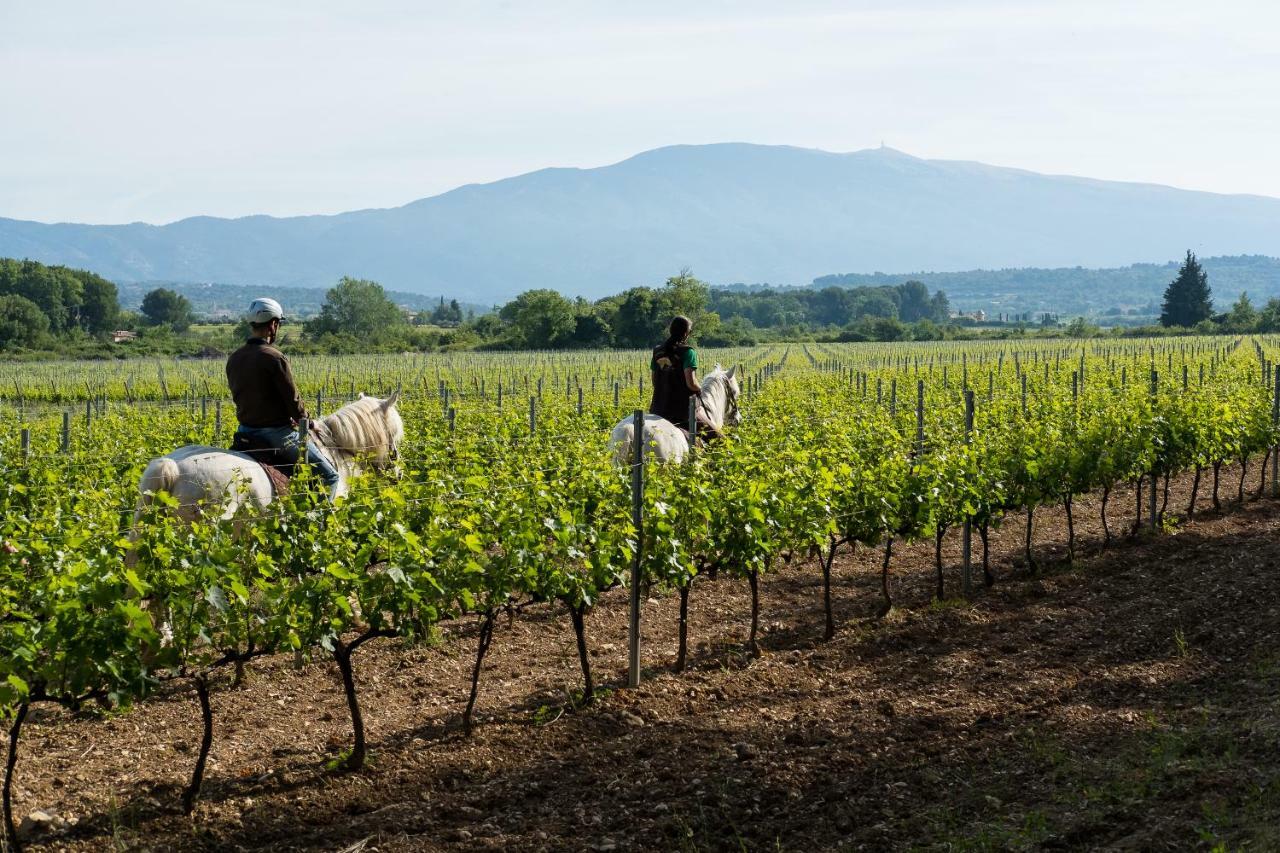 Chateau La Croix Des Pins Mazan Ngoại thất bức ảnh
